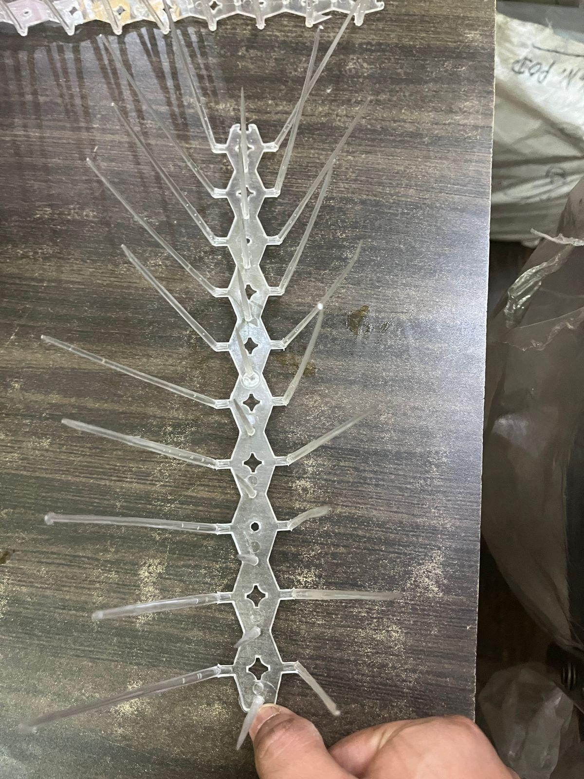 Bird Spikes for Balcony & Rooftop – Pack of 10 Anti-Bird Strips | NISHU Superstores