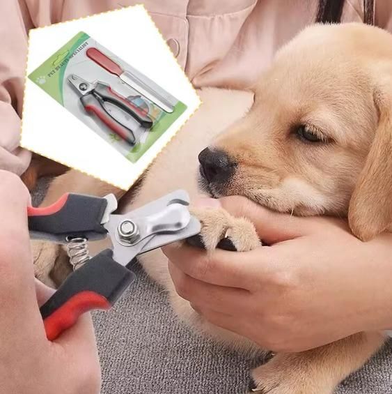 Pet Dog Nail Cutter – Safe & Easy Trimming for Dogs | NISHU Superstores