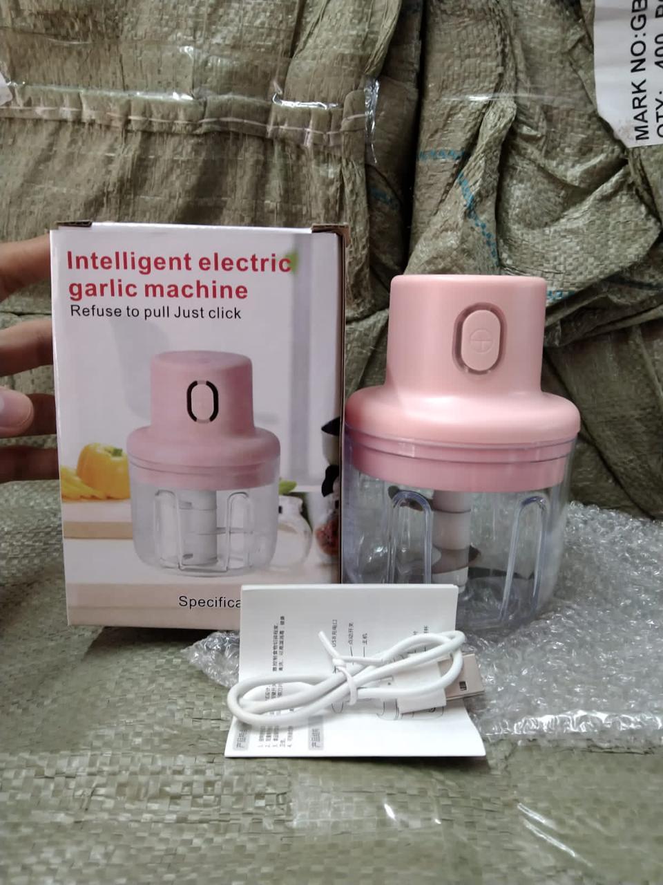 KolorFish Electric Mini Garlic Chopper 250ml – Portable Electric Vegetable Chopper | NISHU Superstores
