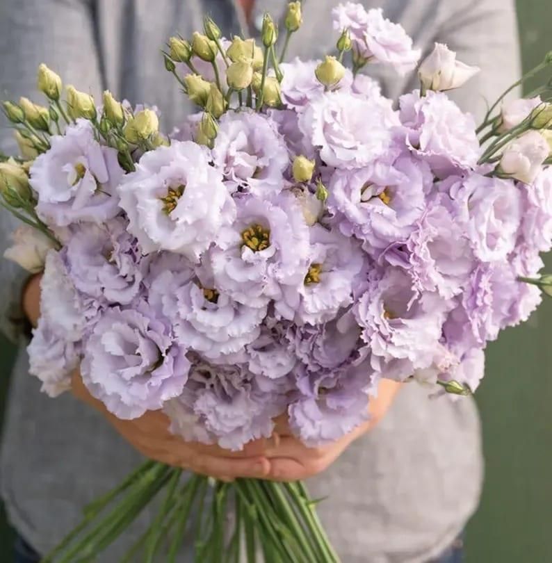 Lisianthus Flower Seeds – Elegant Blooms for Home & Garden | NISHU Superstores