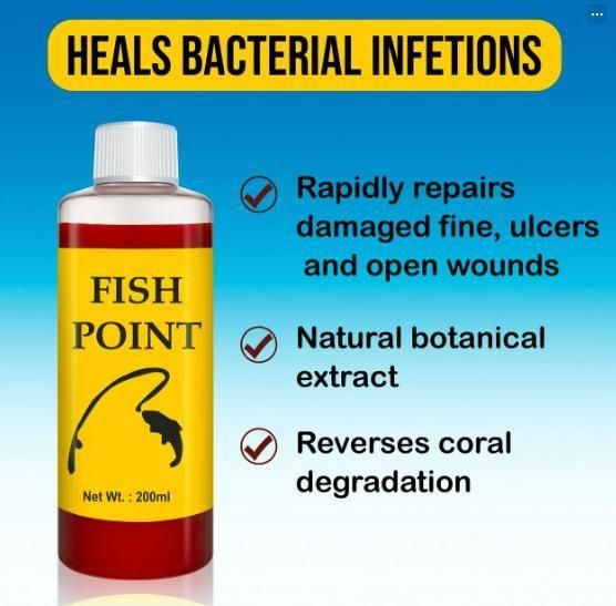 FISH POINT Natural Bait 200ml (Pack of 2) – Effective Fish Attractant | NISHU Superstores