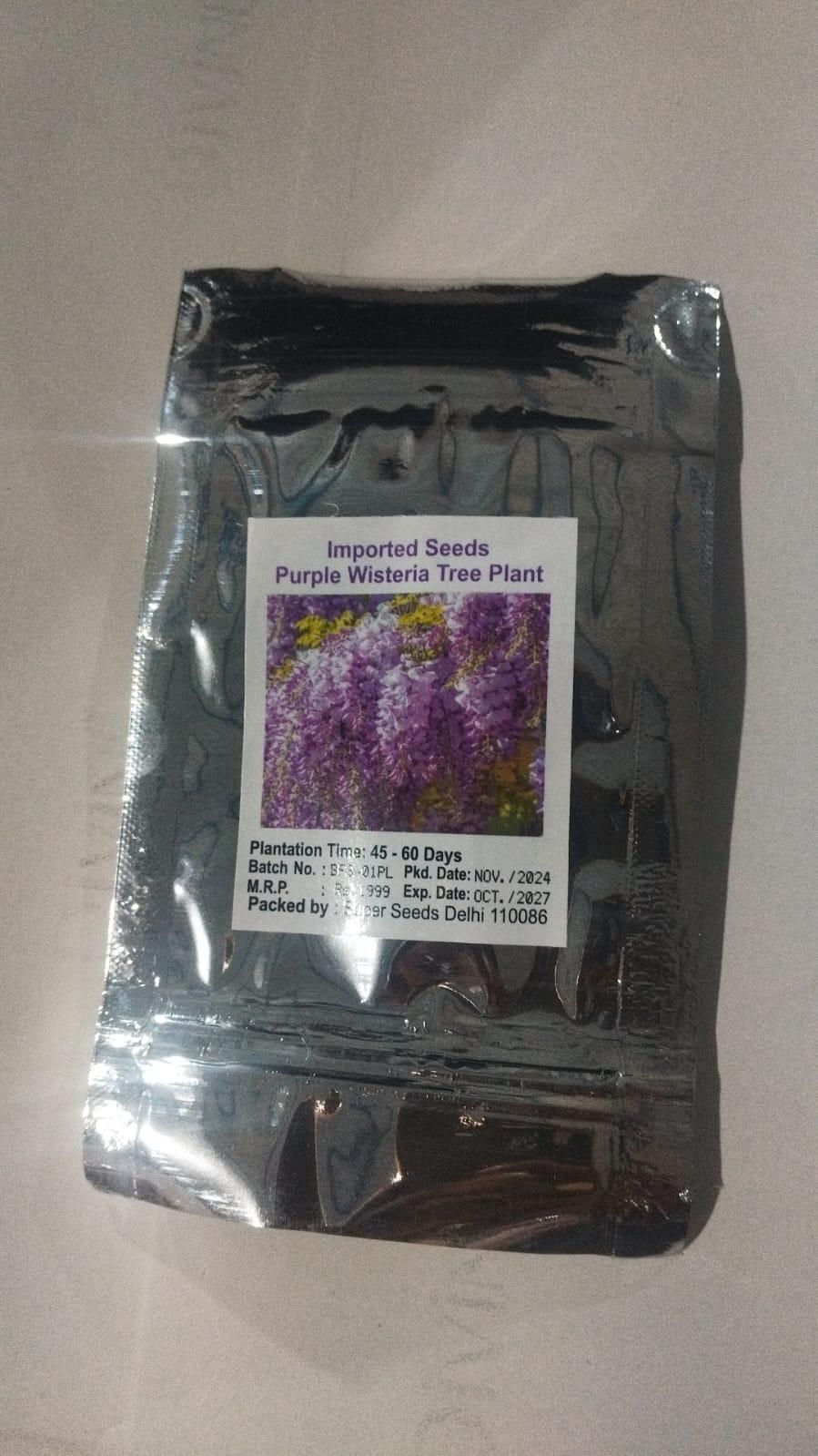 The Garden’s Cascading Beauty All Year Round – Flower Seeds & Plants for Every Season | NISHU Superstores