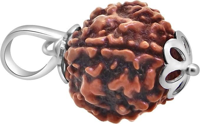 Original 5 Mukhi Rudraksha Bead – Authentic Spiritual Energy | NISHU Superstores