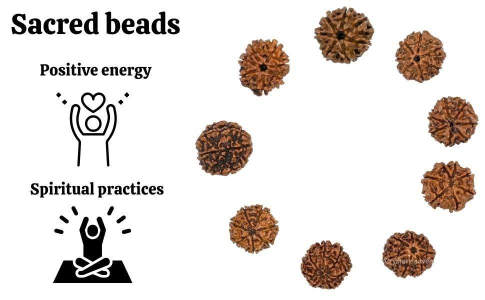 7 Mukhi Rudraksha with Silver Cap – Spiritual Protection Pendant | NISHU Superstores