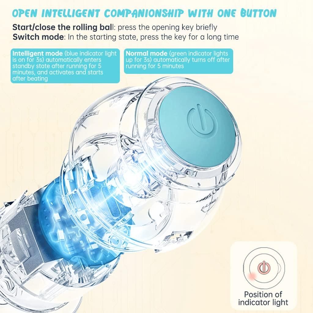 Interactive Rotating Cat Toy Ball with LED Light – USB Rechargeable | NISHU Superstores