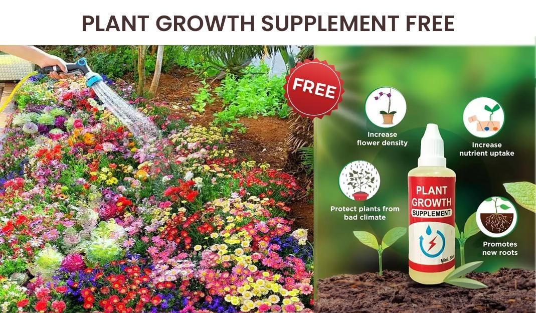 Varieties of Flower Seeds Pack (100 Seeds) + Free Plant Growth Supplement | NISHU Superstores