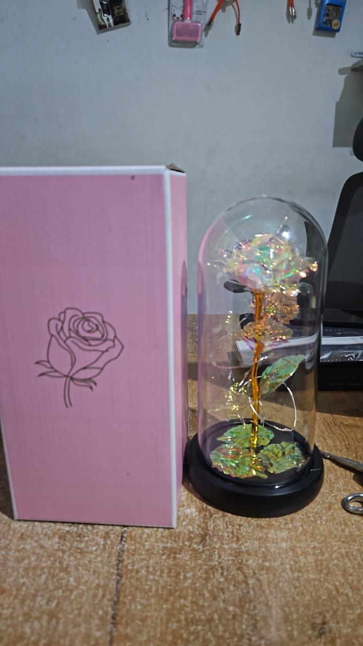 Rose Light Up Flower – Romantic LED Gift for Decoration & Gifting | NISHU Superstores