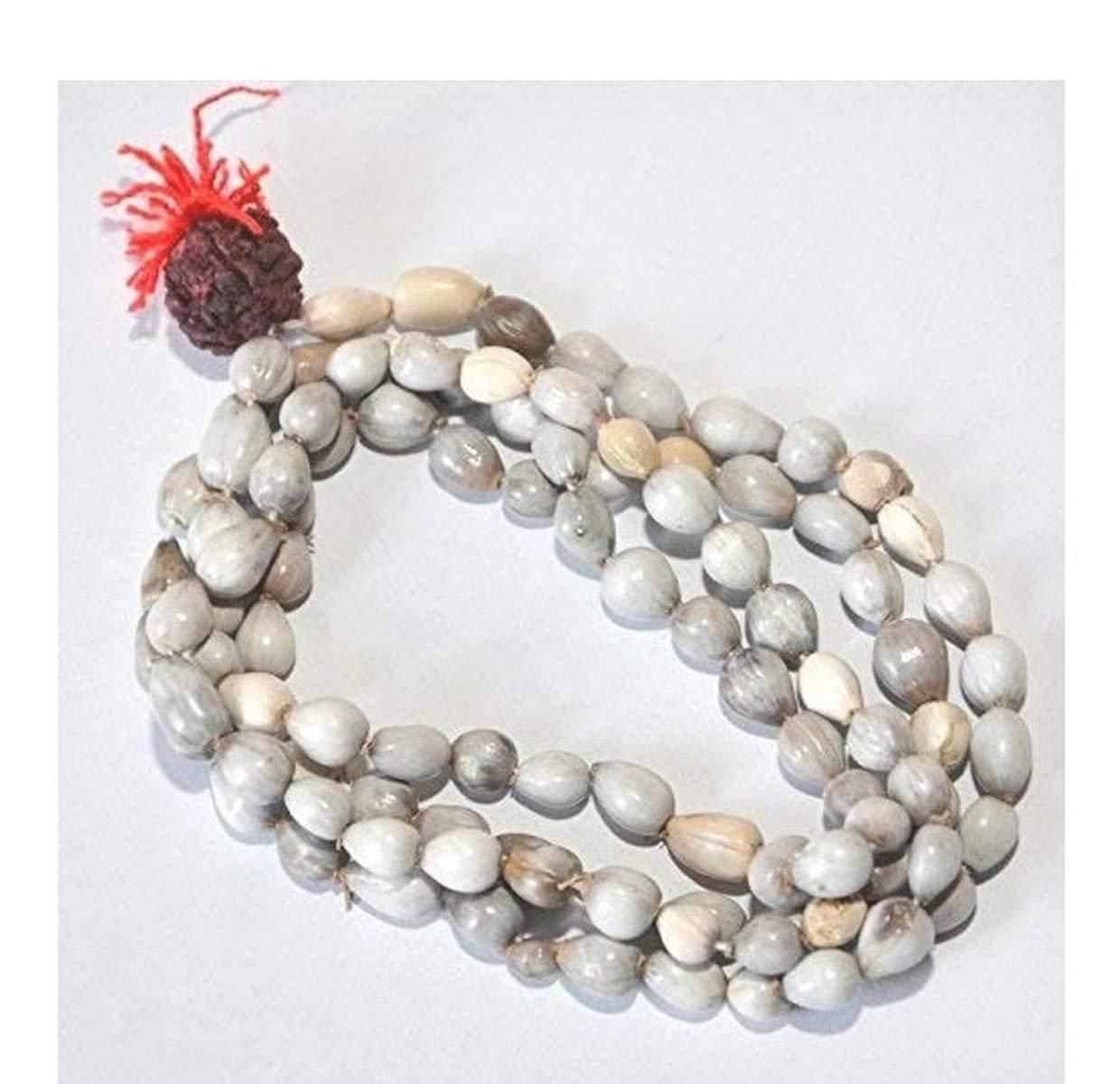 Original Vaijayanti Mala with Rudraksha & Moira Stone for Spiritual Protection & Positivity | NISHU Superstores