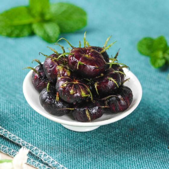 Imported Red Beery Ginseng-Spider Fruit Seeds – Premium Gardening & Planting Seeds | NISHU Superstores