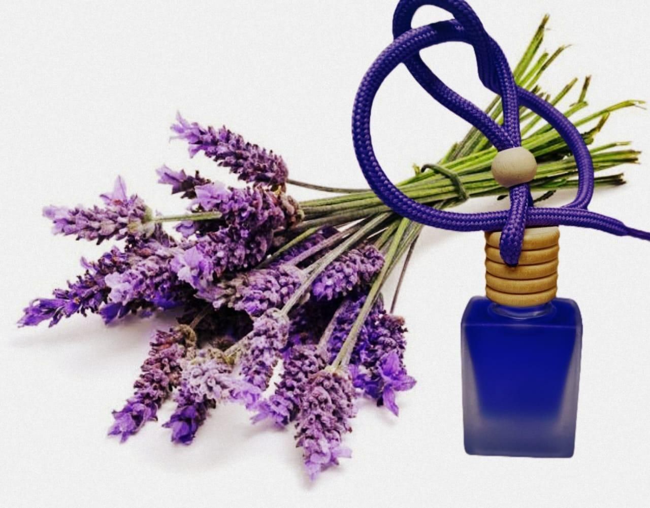 Hanging Car Perfume Pods Diffuser – Long-Lasting Assorted Scent (Pack of 1) | NISHU Superstores
