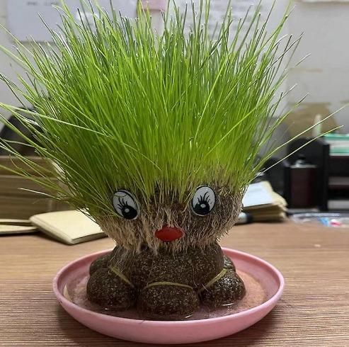 Octopus Grass Doll Grow Bag Pots – Fun & Eco-Friendly Planters | NISHU Superstores