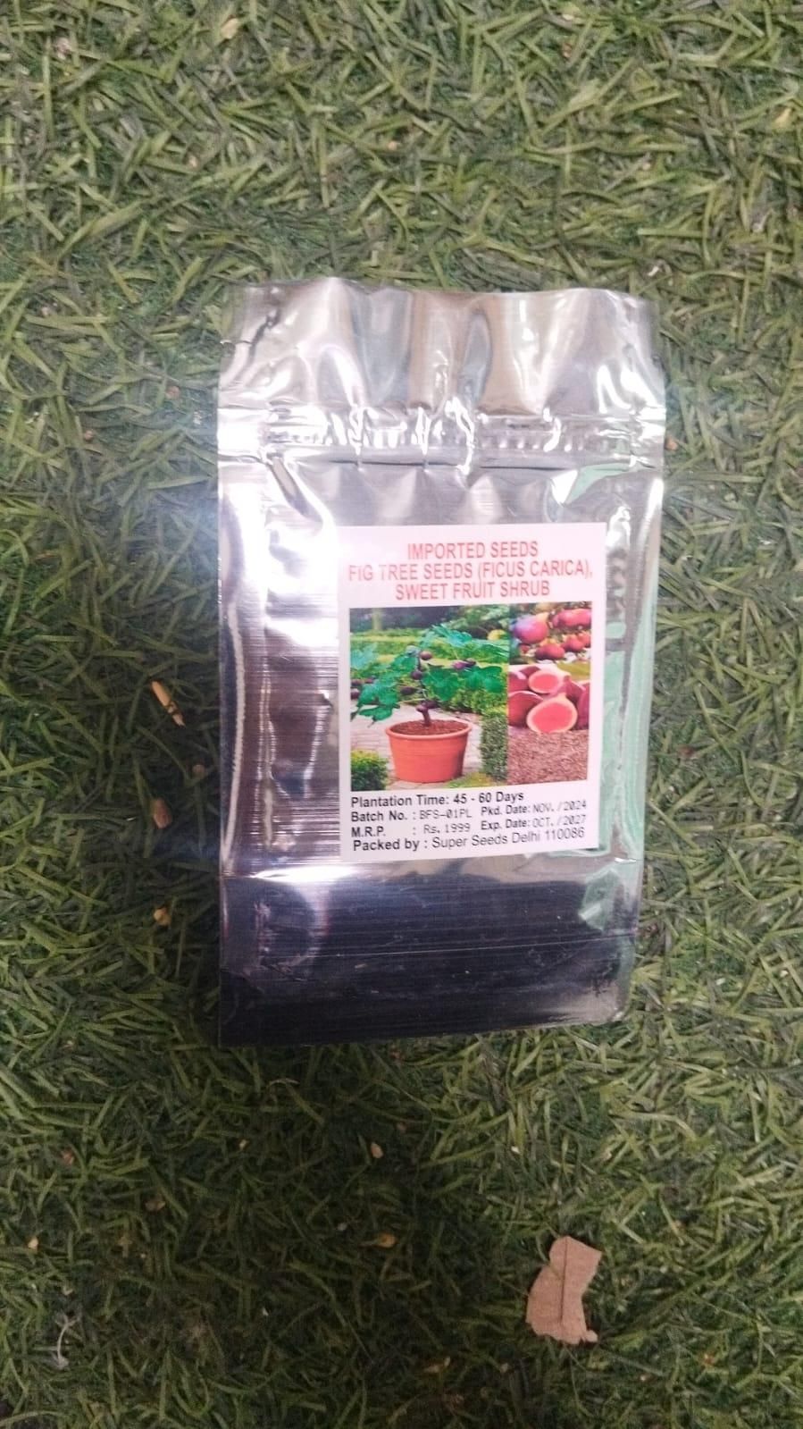 Ornamental & Edible Mint Varieties – Fresh Aroma & Dual Use | NISHU Superstores