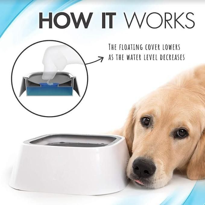 Floating Anti-Overflow Pet Water Bowl – Spill-Proof Design | NISHU Superstores