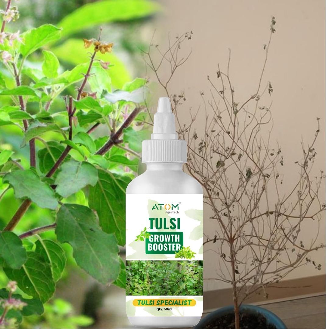 Tulsi Growth Booster (Pack of 2) – Healthy & Lush Plant Growth Formula | NISHU Superstores
