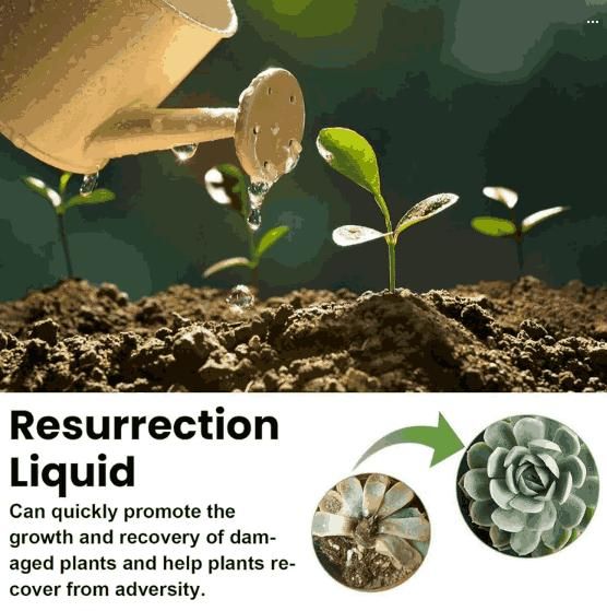 Resurrection Liquid for Plants & Flowers 50ML (Pack of 3) – Revive & Nourish Your Plants | NISHU Superstores