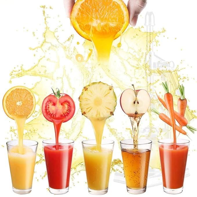 Manual Fruit Juicer – Easy Hand Press Juicer for Fresh Juice Extraction | NISHU Superstores