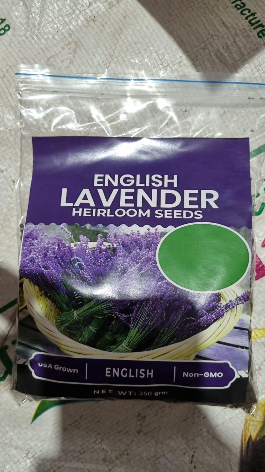 Lavender Seeds for Planting – 350gm Pack for Home Garden & Outdoor Farming | NISHU Superstores