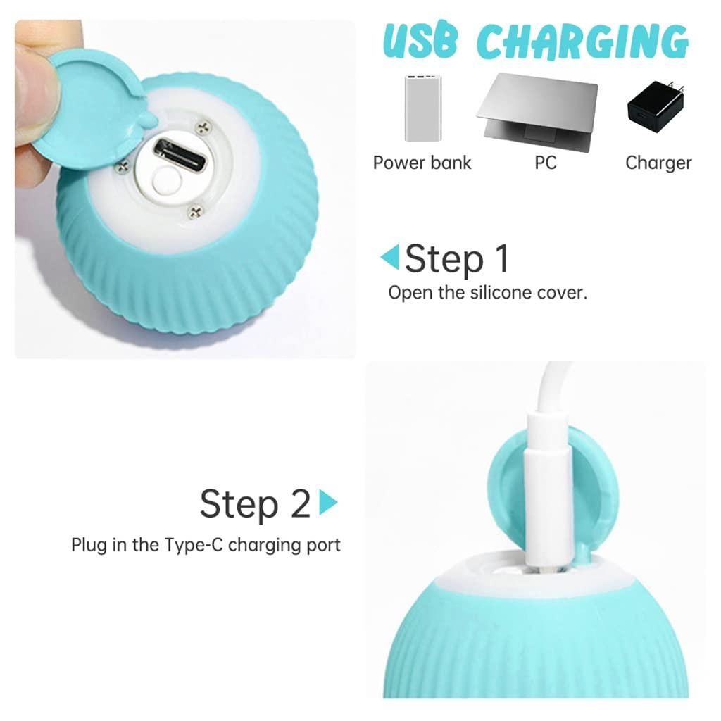 Interactive Rotating Cat Toy Ball with LED Light – USB Rechargeable | NISHU Superstores
