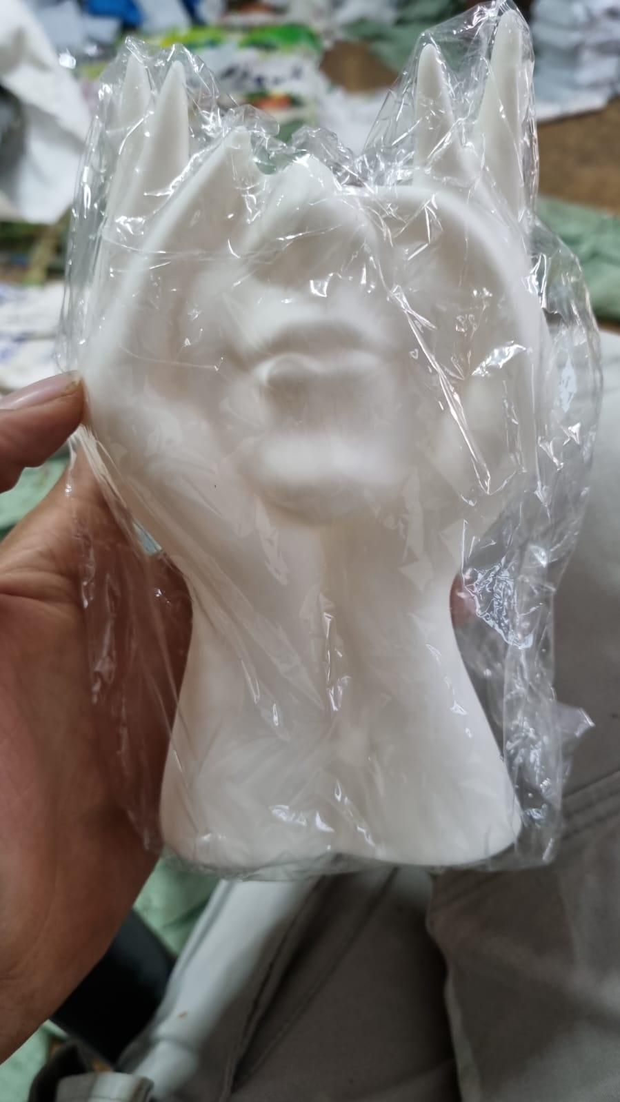 Aesthetic Face Vase – Modern Decorative Flower Pot for Home & Office | NISHU Superstores
