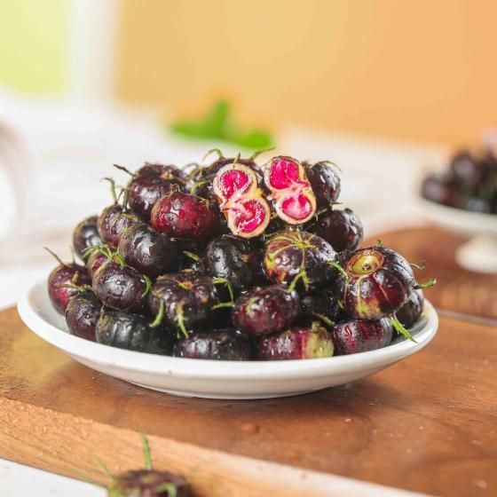 Imported Red Beery Ginseng-Spider Fruit Seeds – Premium Gardening & Planting Seeds | NISHU Superstores