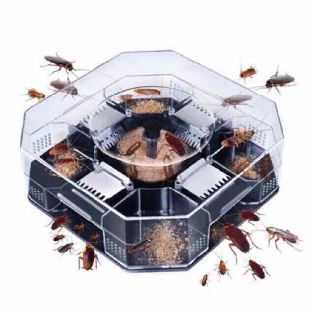 Cockroach Killer Trap Box – Effective Roach Catcher for Home & Kitchen | NISHU Superstores