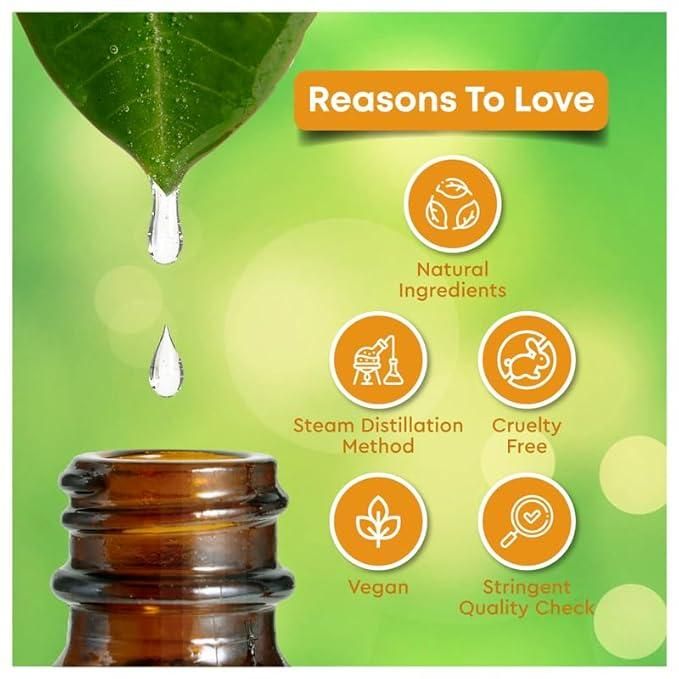Vitamin C & Turmeric Face Oil 30ml – Brightening & Anti-Aging Skincare | NISHU Superstores