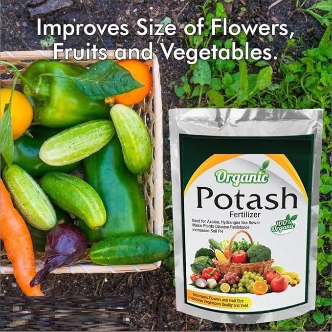 Organic Potash Fertilizer – 350gm | NISHU Superstores