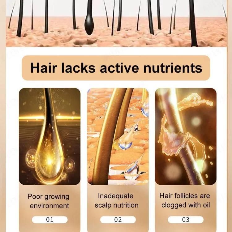 Anti-Hair Loss Shampoo 600ml (Pack of 2) – Hair Fall Control & Root Strengthening | NISHU Superstores