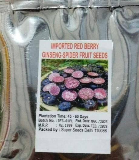 Imported Red Beery Ginseng-Spider Fruit Seeds – Premium Gardening & Planting Seeds | NISHU Superstores