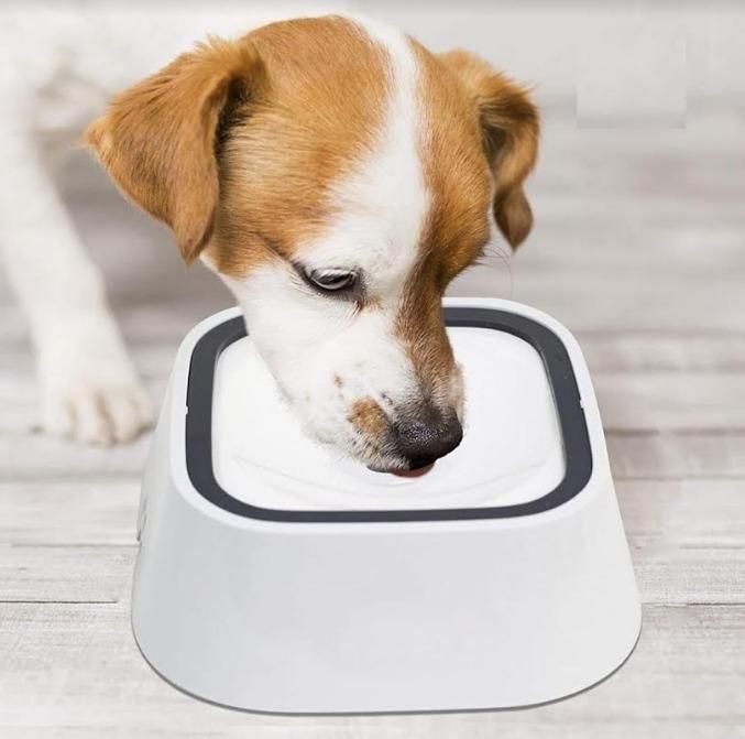 Floating Anti-Overflow Pet Water Bowl – Spill-Proof Design | NISHU Superstores