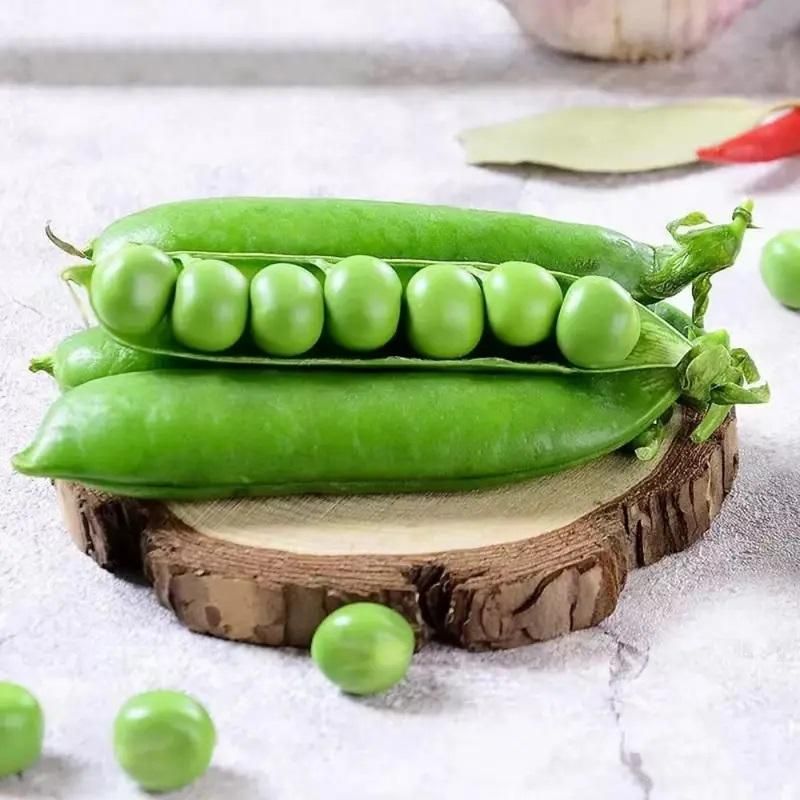 Green Peas Seeds (Pack of 20) – Fresh, High-Yield Vegetable Seeds for Home Garden | NISHU Superstores