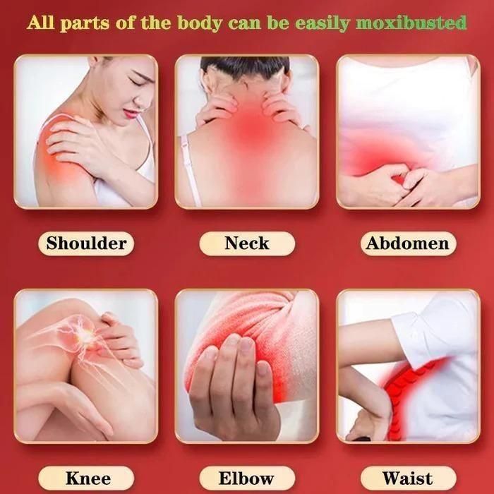 Wormwood Liquid Body Joint Roll On 50ml (Pack of 2) – Herbal Pain Relief for Joints & Muscles | NISHU Superstores