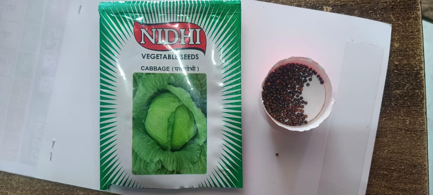 Cauliflower Vegetable Seeds (Pack of 20) – High Yield, Easy to Grow | NISHU Superstores