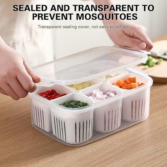 Food Storage Box with Lid & 6 Compartments – Meal Prep & Kitchen Organizer | NISHU Superstores