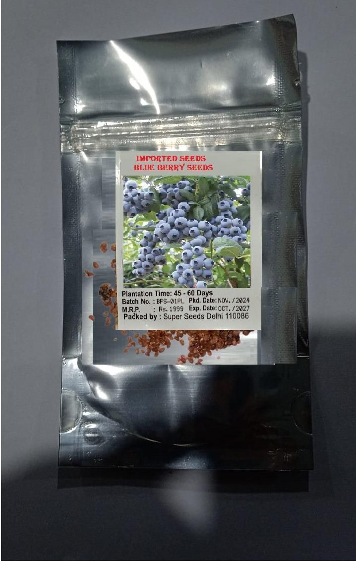 Giant Blueberry Fruit Seeds – Grow Juicy, Big Berries at Home | NISHU Superstores