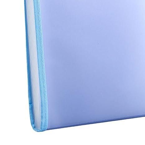 Portable Expanding Document Folder – 13 Pockets Organizer for Files, Bills & Papers | NISHU Superstores