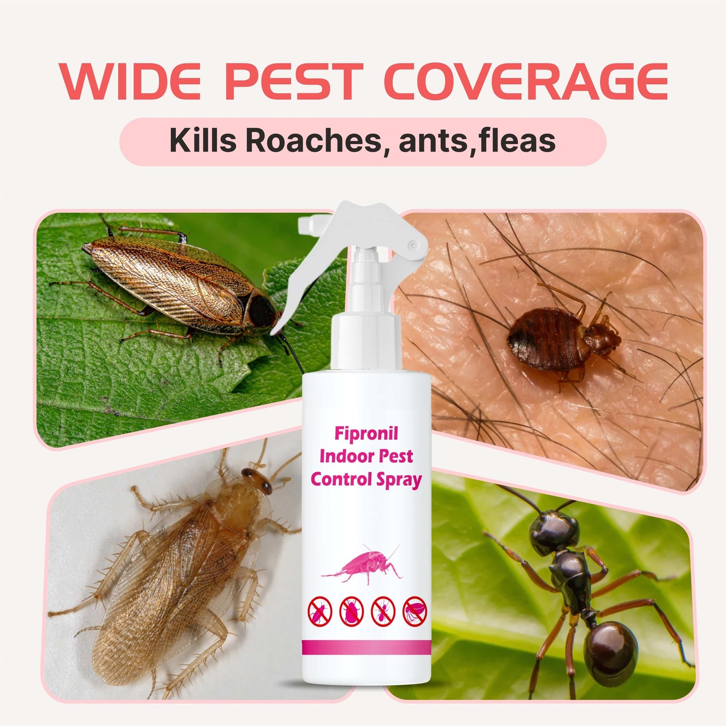 Fipronil Indoor Pest Control Spray – 200 ml Pack of 2 | NISHU Superstores