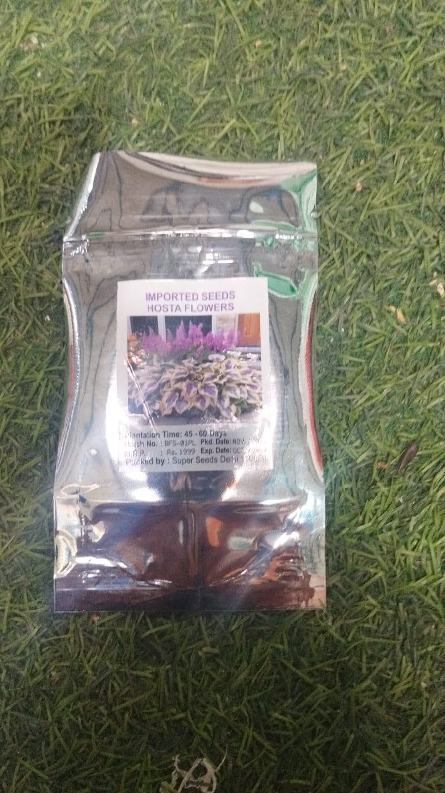 Hosta Flower Seeds – Shade-Tolerant & Cold-Hardy Perennials for Garden | NISHU Superstores