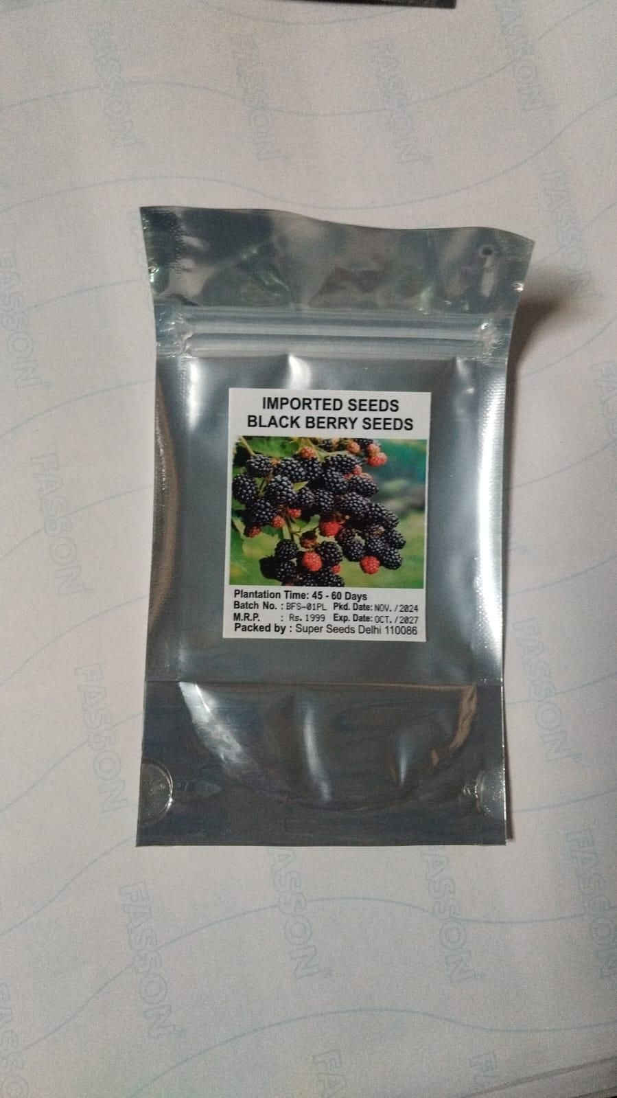 Sweet Giant Blackberry Seeds – High Yield, Juicy & Organic | NISHU Superstores