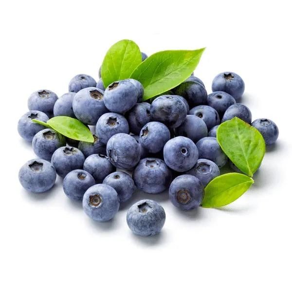 Giant Blueberry Fruit Seeds – Grow Juicy, Big Berries at Home | NISHU Superstores