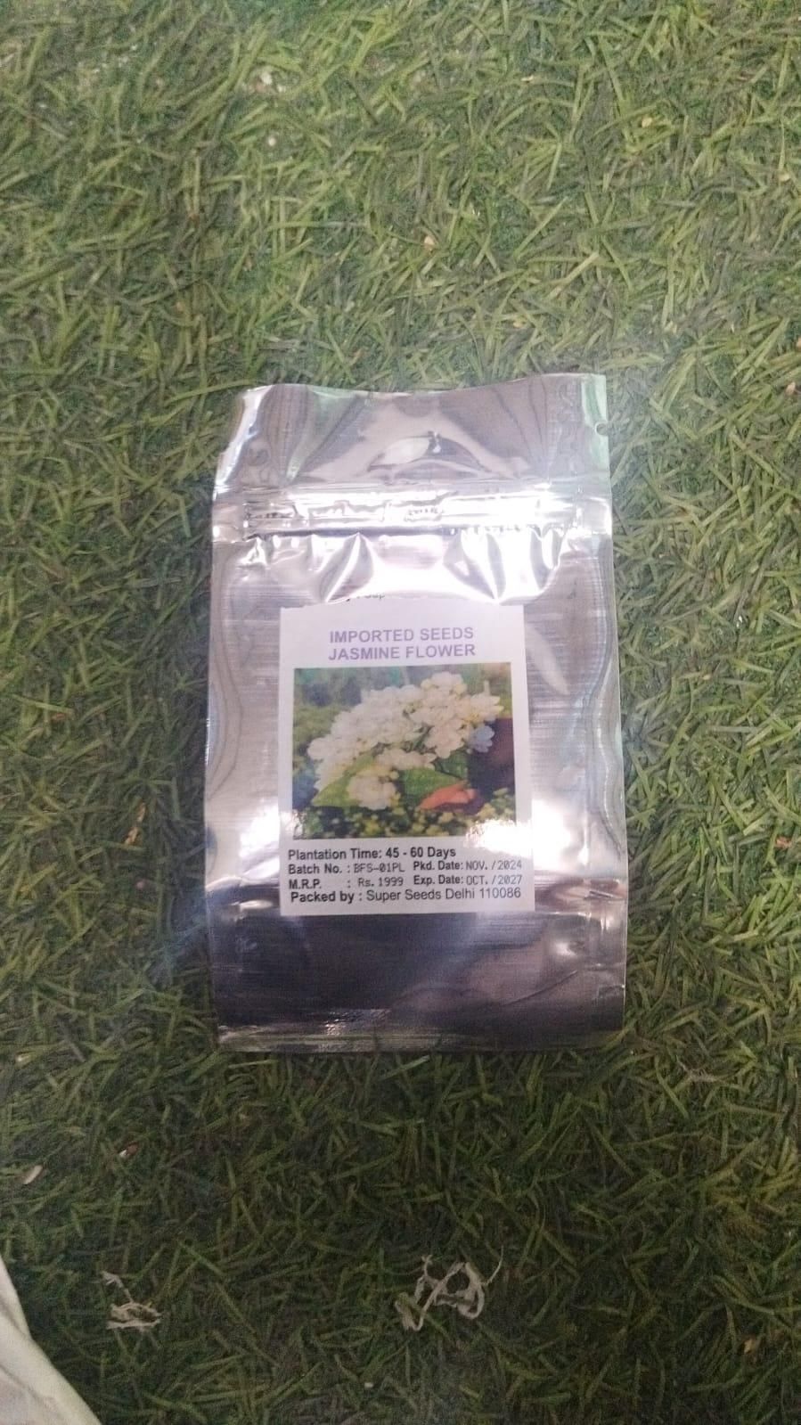 Double Jasmine Flower Seeds – Fragrant & Full-Bloom Garden Beauty | NISHU Superstores