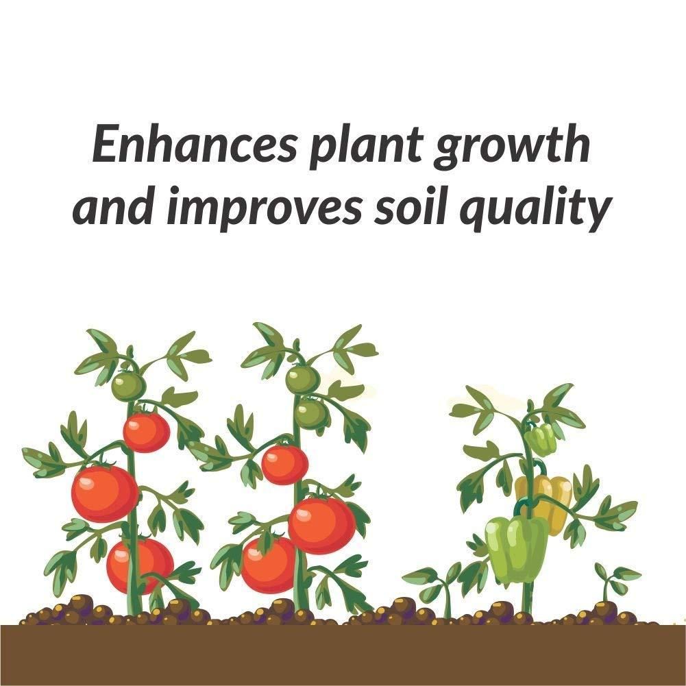 Organic Potash Fertilizer – 350gm | NISHU Superstores