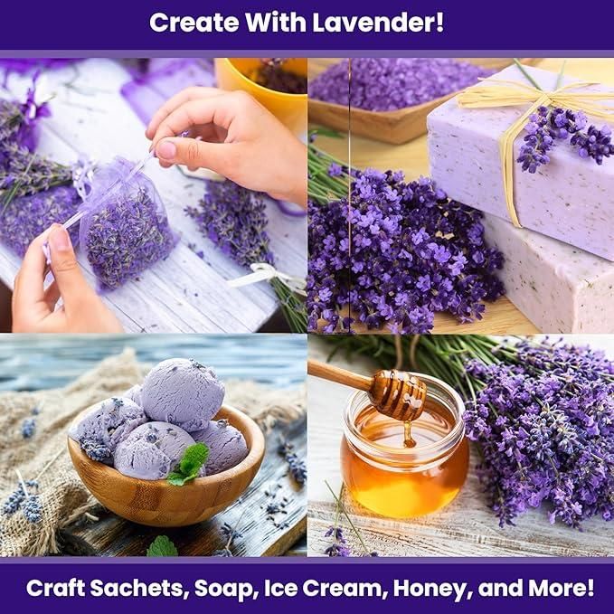 Lavender Seeds for Planting – 350gm Pack for Home Garden & Outdoor Farming | NISHU Superstores
