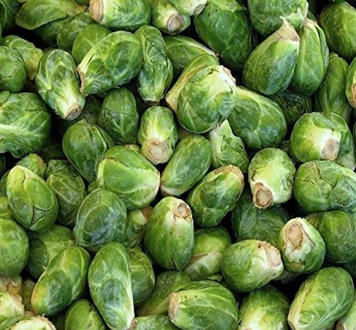 Nema Organic Brussels Sprouts Seeds – Fresh, Non-GMO & Easy to Grow | NISHU Superstores