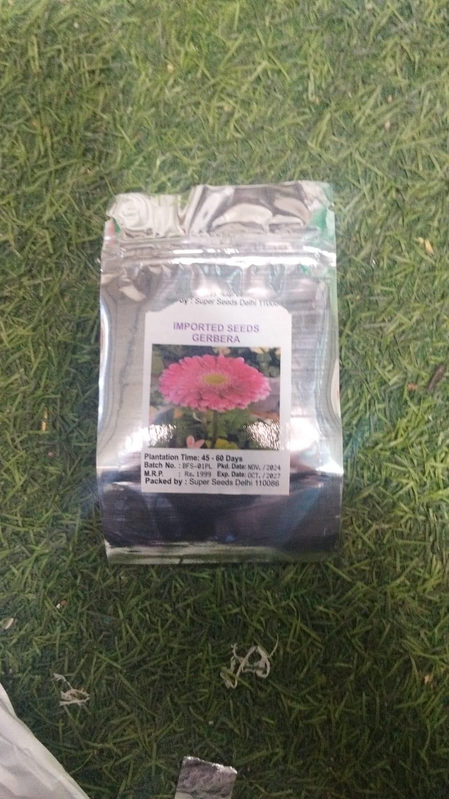 Gerbera Mix Flowering Seeds – Vibrant Blooms for Home & Garden | NISHU Superstores