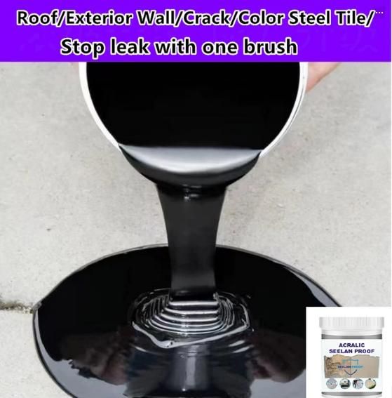 Acrylic Sealan Proof (Pack of 2) – Durable Waterproof Sealant | NISHU Superstores