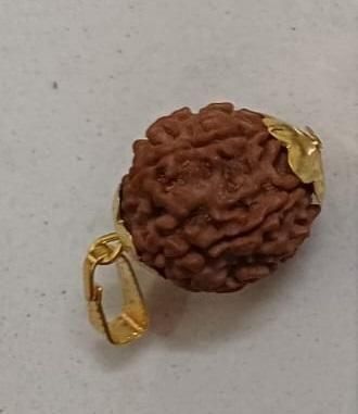 7 Mukhi Rudraksha with Silver Cap – Spiritual Protection Pendant | NISHU Superstores