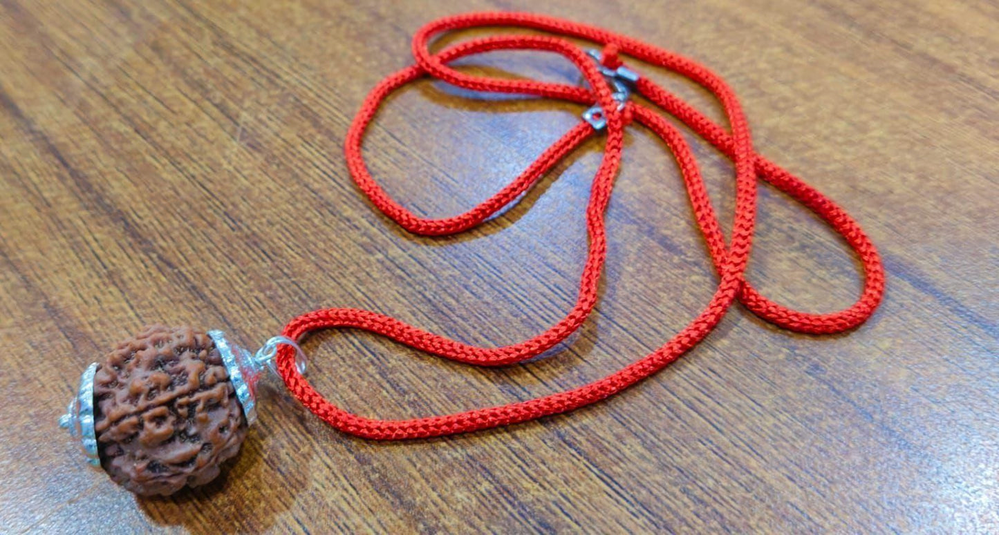 7 Mukhi Rudraksha Silver Capped Pendant – Spiritual Energy & Positive Vibes | NISHU Superstores