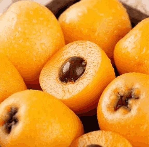 Five-Star Loquat Seeds – Premium Quality, Juicy Fruit, Easy to Grow | NISHU Superstores