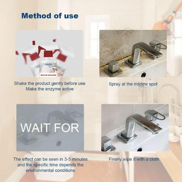 Deodorizing & Purifying Household Cleaning Foam Spray – 60ml Fresh & Clean | NISHU Superstores